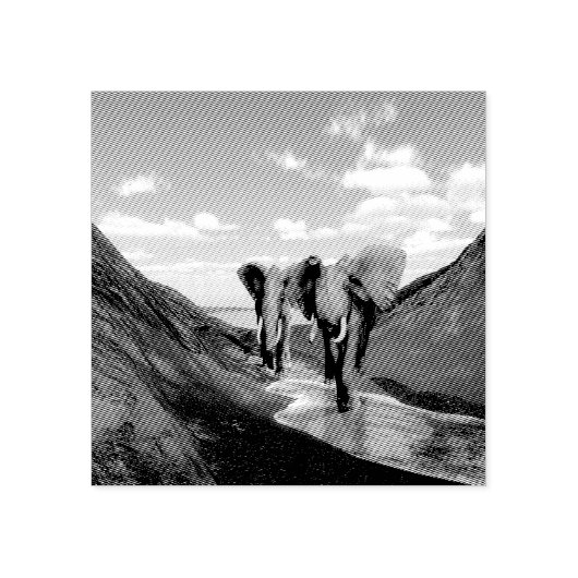 Tampons Encreurs Eléphant (Impression)