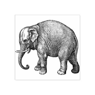 Tampons Encreurs Elephant Rubber Stamp