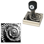 Tampons Encreurs Empreinte négative de l'ammonite jurassique (Tamponné)
