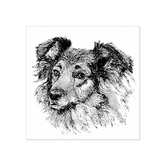 Tampons Encreurs Étagère (Impression)