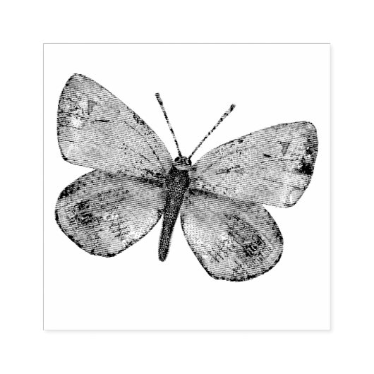 Tampons Encreurs Eté Sentiments Papillon (Impression)