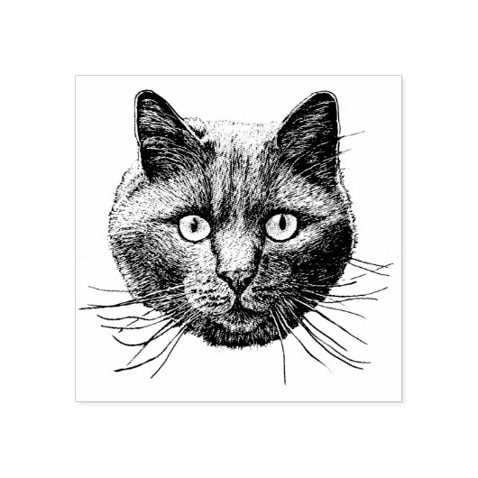 Tampons Encreurs Face de chat (Impression)