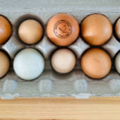 Tampons Encreurs Ferme Hen Logo Personnalisé Oeufs Bio