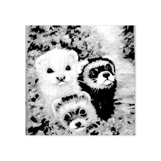 Tampons Encreurs Ferrets et fleurs (Impression)