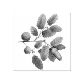 Tampons Encreurs Feuilles de chêne Acorn (Impression)