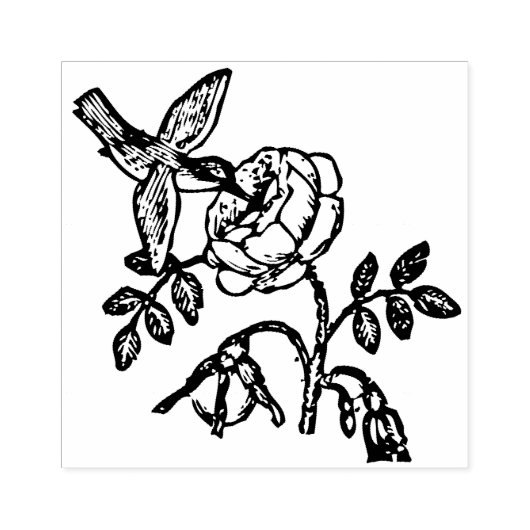 Tampons Encreurs Fleur de colibri (Impression)