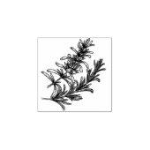 Tampons Encreurs fond blanc d'herbe (Impression)