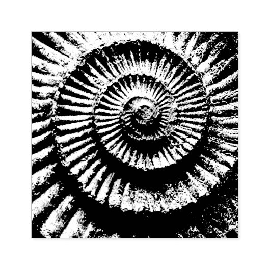 Tampons Encreurs fossile ammonique (Impression)