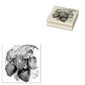 Tampons Encreurs Fraise d'été Luscieuse (Tamponné)