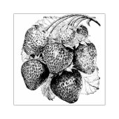 Tampons Encreurs Fraise d'été Luscieuse (Impression)