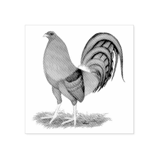 Tampons Encreurs Gamecock Blue Red Roster (Impression)