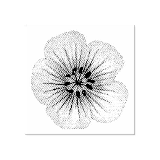 Tampons Encreurs Geranium Garden Flower Fragile (Impression)