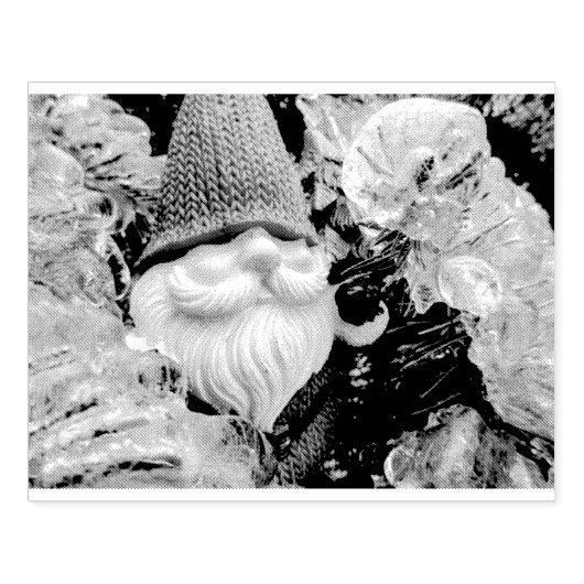 Tampons Encreurs Gnome congelé 03 (Impression)