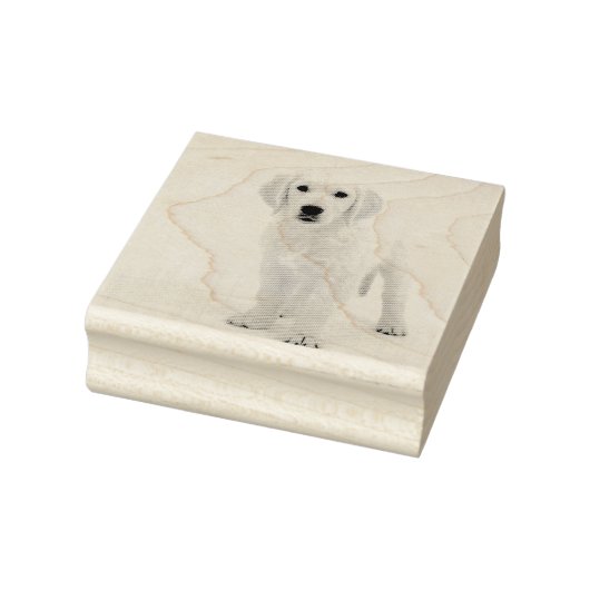 Tampons Encreurs Golden Retriever (Tampon)