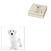 Tampons Encreurs Golden Retriever (Tamponné)