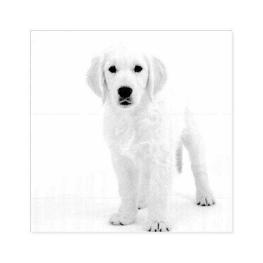 Tampons Encreurs Golden Retriever (Impression)