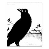 Tampons Encreurs Grackle Austin Texas Black Bird Wildlife Painting (Impression)