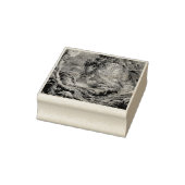 Tampons Encreurs Graphique de la forêt de Fairyland (Tampon)