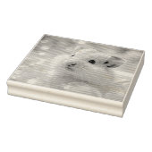 Tampons Encreurs Hamster mignon en bulles (Tampon)