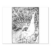 Tampons Encreurs Happy Hollow Peacock (Impression)