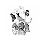 Tampons Encreurs Hummingbirds Wildlife Shops Scrapbooking (Impression)