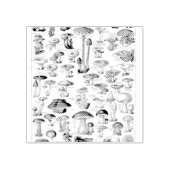 Tampons Encreurs Illustration de l'art des champignons de la carte  (Impression)