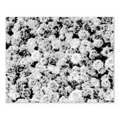 Tampons Encreurs Jardin rose (Impression)