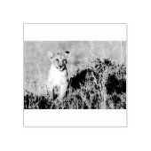 Tampons Encreurs Jeune lion (Impression)