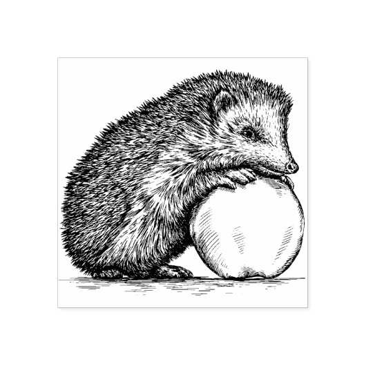 Tampons Encreurs Joli hérisson (Impression)