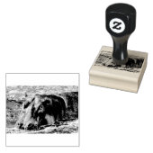 Tampons Encreurs Joyeux Hippo (Tamponné)