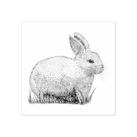 Tampons Encreurs Lapin (Impression)