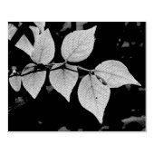 Tampons Encreurs L'artisanat de Dieu (Impression)