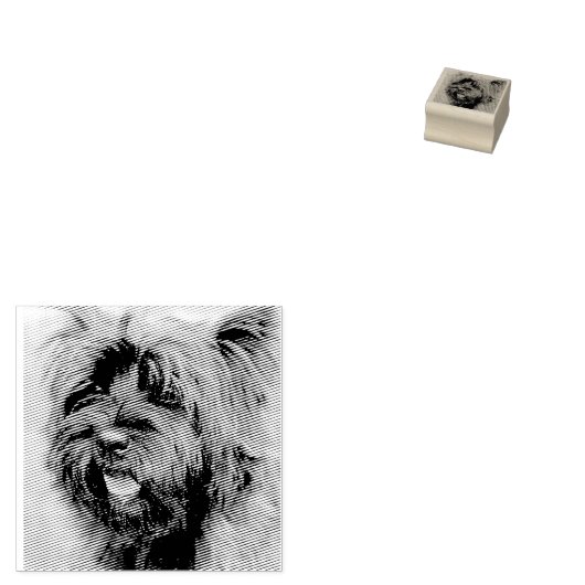 Tampons Encreurs Le Caire (Tamponné)