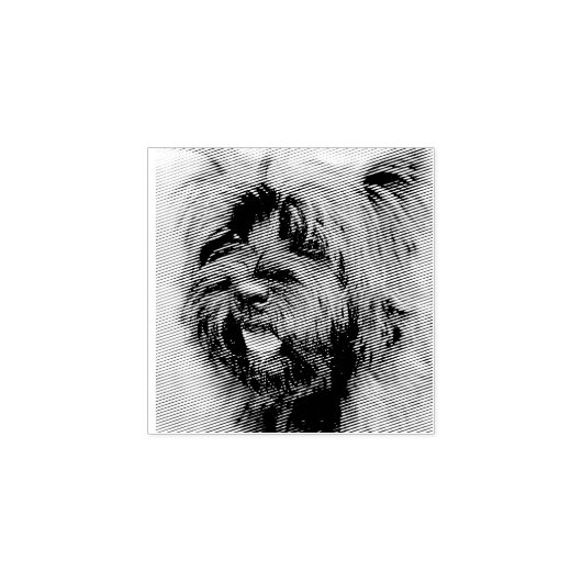 Tampons Encreurs Le Caire (Impression)