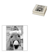 Tampons Encreurs "Les ânes font de superbes Santas !" (Tamponné)