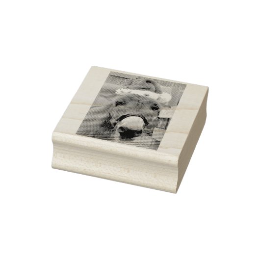 Tampons Encreurs "Les ânes font de superbes Santas !" (Tampon)