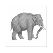 Tampons Encreurs Les animaux éléphants Safari (Impression)
