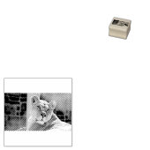 Tampons Encreurs Lioness (Tamponné)