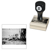 Tampons Encreurs Lioness stretching (Tamponné)