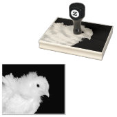 Tampons Encreurs Liquide (Tamponné)