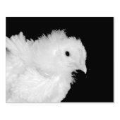 Tampons Encreurs Liquide (Impression)