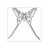 Tampons Encreurs Luna Moth Jaune Orange Cuisine Magique Insecte (Impression)