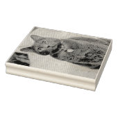 Tampons Encreurs Mims (Tampon)