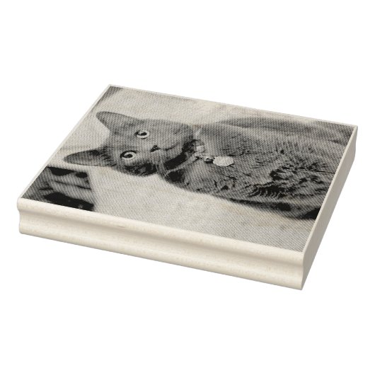 Tampons Encreurs Mims (Tampon)