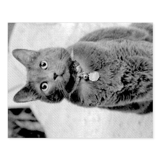 Tampons Encreurs Mims (Impression)