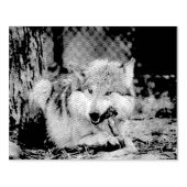 Tampons Encreurs minuteur de collage (Impression)