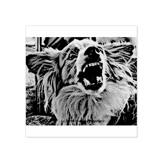 TAMPONS ENCREURS MON CHIEN PRÉFÉRÉ ! (Impression)