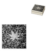 Tampons Encreurs Moyenne : Timbre en caoutchouc feuille d'érable (Tamponné)