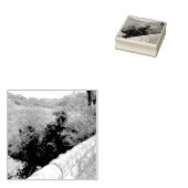 Tampons Encreurs nature way of impersonating animals (Tamponné)