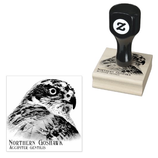 Tampons Encreurs Northern Goshawk (Tamponné)